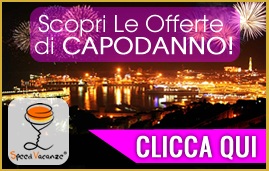 speedvacanze offerte per single