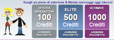 ashley madison costi