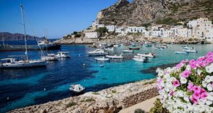 Donne Single Marsala