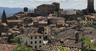 Donne Single Arezzo